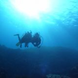 【解説】黒潮の恵みによる多様な生態系を楽しむ伊豆のダイビング